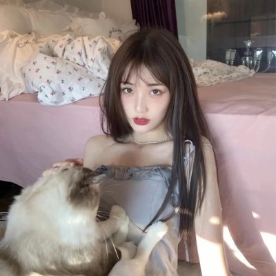 豆豆猫